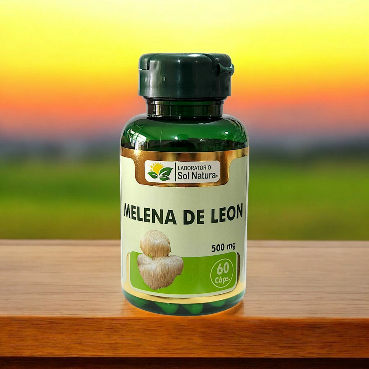 Melena de León Plus 60 Cápsulas 500mg - Hericium Erinaceus | Sol Natura