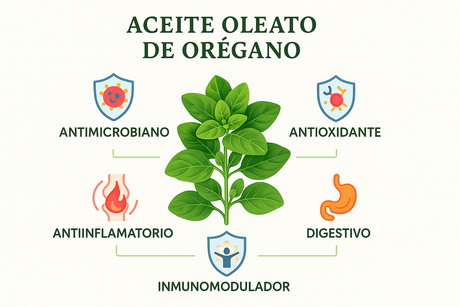 Infografía de los beneficios del Aceite Oleato de Orégano: Antimicrobiano, Antioxidante, Antiinflamatorio, Inmunomodulador, Digestivo