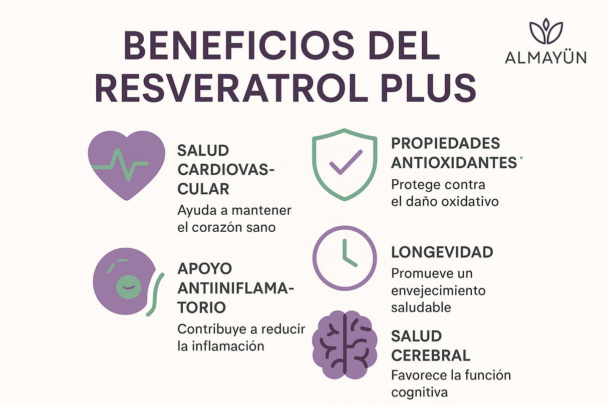 Infografía de los beneficios del Resveratrol Plus mostrando salud cardiovascular, propiedades antioxidantes, apoyo antiinflamatorio, longevidad y salud cerebral