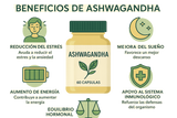 Infografía de los beneficios de Ashwagandha mostrando reducción del estrés, mejora del sueño, aumento de energía, apoyo al sistema inmunológico y equilibrio hormonal