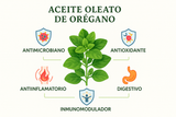 Infografía de los beneficios del Aceite Oleato de Orégano: Antimicrobiano, Antioxidante, Antiinflamatorio, Inmunomodulador, Digestivo