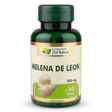Nueva corrección de la imagen de Melena de León