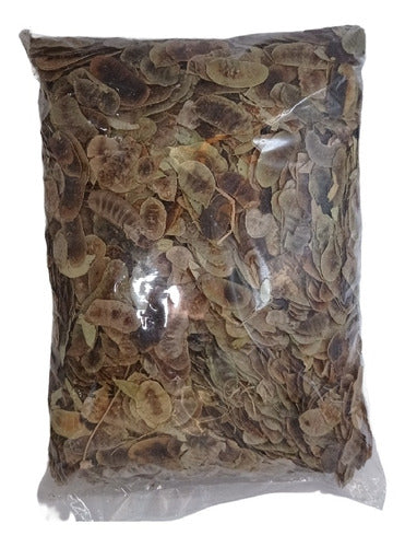 Hoja De Alejandría Para Infusión 1 Kilo